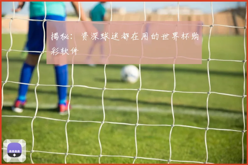 揭秘：资深球迷都在用的世界杯购彩软件