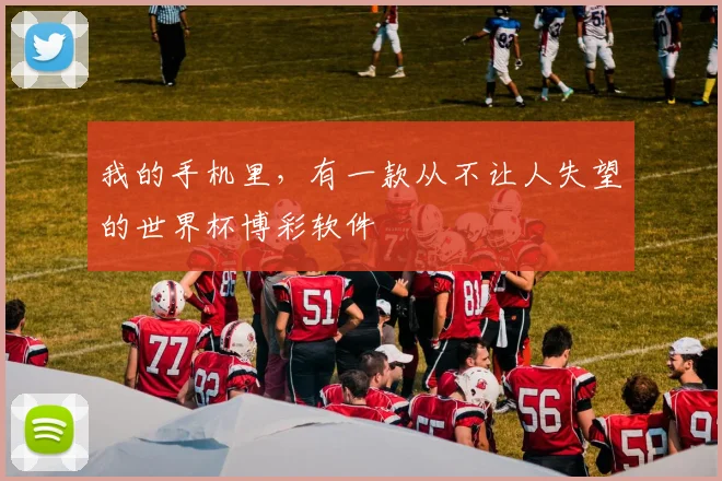 我的手机里，有一款从不让人失望的世界杯博彩软件