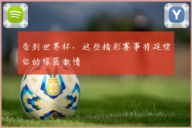 告别世界杯，这些精彩赛事将延续你的绿茵激情