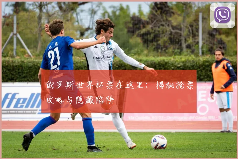 俄罗斯世界杯票在这里：揭秘抢票攻略与隐藏陷阱