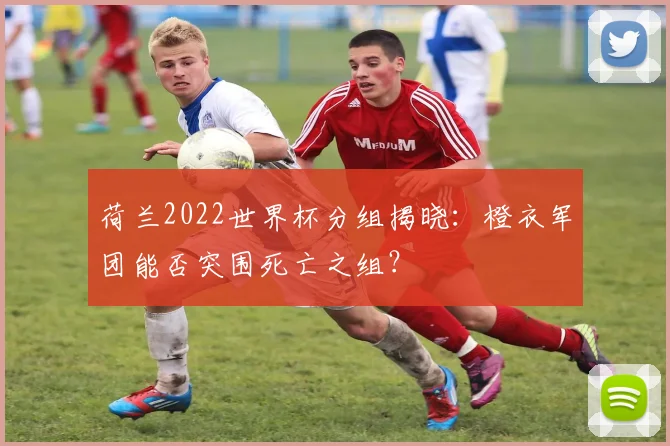 荷兰2022世界杯分组揭晓：橙衣军团能否突围死亡之组？
